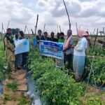 అనుపల్లెలో మహిళ మెడలో చైన్ స్నాచింగ్