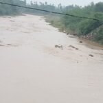 విద్యా హక్కుల కోసం మేల్కో నెల్లూరు