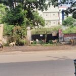 ఆమ్ ఆద్మీ పార్టీ తెలంగాణ రాష్ట్ర సోషల్ మీడియా కోఆర్డినేటర్‌గా శ్రీ అహ్మద్ అహ్సాన్ అబ్బాస్ నియామకం.