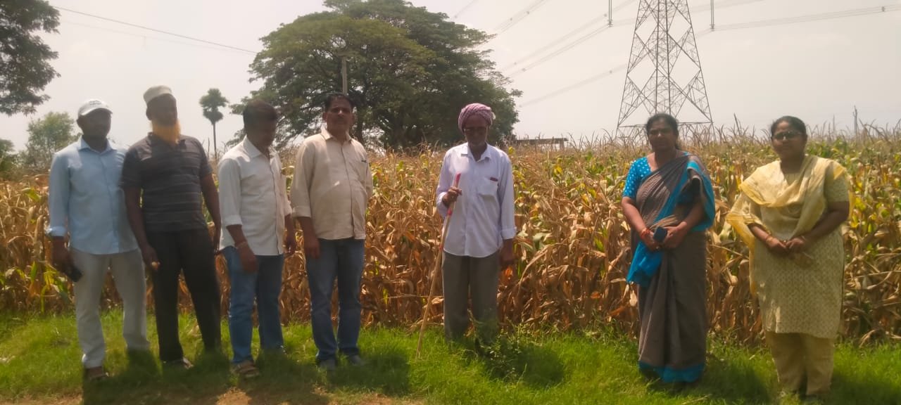 అయినాపురం జిల్లా పరిషత్ ఉన్నత పాఠశాల ఎస్ఎంసీ చైర్మన్‌గా మాచగిరి రాంబాబు