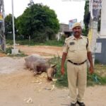 కొత్త పెన్షన్లకు అర్హులైన వారు దరఖాస్తు చేసుకోవాలి- కొట్టే వెంకటేశ్వర్లు