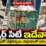 స్పీకర్ గారి పట్ల మాట్లాడిన అనుచిత వ్యాఖ్యలను తీవ్రంగా ఖండిస్తునాం -జిల్లా కాంగ్రెస్ పార్టీ అధ్యక్షులు కాట్ పల్లి నగేష్ రెడ్డి…