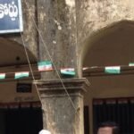 వాతావరణానికి నేలకు ఒరిగిన వృక్షం