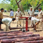 డిఫెన్స్‌ కాలనీ రోడ్‌ నంబర్‌ 5లో రాత్రికి రాత్రే చెట్ల తొలగింపు?