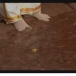 రాజంపేటలో ఘనంగా పవన్ కళ్యాణ్ జన్మదిన వేడుకలు.