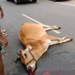 పీఆర్‌సీ కమిటీ ఏర్పాటు చేసి వెంటనే ఐఆర్ ప్రకటించాలి