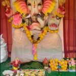 హనుమాన్ నగర్ ఫేజ్-2లో ఘనంగా గణనాథుని ప్రతిష్ఠాపన
