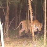 అనుమతుల పేరుతో ఇబ్బందులు వద్దు