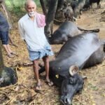 గణనాథుడి ఆశీస్సులతో కొత్త వెలుగులు