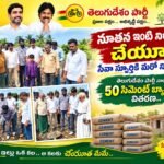ఆదమరిచిన ట్రాఫిక్ సిబ్బంది: ఇబ్రహీంపట్నం రింగ్ సర్కిల్‌లో కిలోమీటర్ల మేర ‘ట్రాఫిక్ జామ్’ ఎన్టీఆర్ జిల్లా: ఇబ్రహీంపట్నం, సెప్టెంబర్, 19, ఇబ్రహీంపట్నం,నిత్యం వేలాది వాహనాల రాకపోకలతో అత్యంత రద్దీగా ఉండే ఇబ్రహీంపట్నం రింగ్ సర్కిల్ శనివారం ఉదయం పూర్తిగా స్తంభించిపోయింది. వాహనాల నిలిపివేతతో ఎటుచూసినా కిలోమీటర్ల మేర ట్రాఫిక్ నిలిచిపోయి, సర్కిల్ మొత్తం అష్టదిగ్బంధనంగా మారింది. అత్యవసరంగా వెళ్లాల్సిన ‘108’ అంబులెన్స్‌ల కు సైతం దారి లేని దుస్థితి నెలకొనడంతో రోగుల ప్రాణాలు గాల్లో దీపాలుగా మారాయి. చెట్టు కింద సిబ్బంది సేద తీరడం వల్లే..అత్యంత ప్రమాదకరమైన ఈ కూడలిలో వాహనాలను నియంత్రించాల్సిన ట్రాఫిక్ సిబ్బంది, ఎండ తీవ్రత ఎక్కువగా ఉందనే నెపంతో బాధ్యతలను విస్మరించి చెట్టు కింద సేదతీరడం కనిపించింది. సిబ్బంది నిర్లక్ష్యం వల్లే వాహనాలు ఒకదానికొకటి అడ్డుగా వచ్చి భారీగా జామ్ అయ్యాయని వాహనదారులు తీవ్ర ఆగ్రహం వ్యక్తం చేస్తున్నారు. ఇప్పటికే ఇబ్రహీంపట్నం సర్కిల్ తీవ్ర సిబ్బంది కొరతతో ఇబ్బంది పడుతుండగా, ఉన్న కొద్దిమంది సిబ్బంది కూడా ఈ విధంగా బాధ్యతారహితంగా వ్యవహరించడంపై విమర్శలు వెల్లువెత్తుతున్నాయి.ఉన్నతాధికారులు స్పందించాలి:రోజురోజుకూ పెరుగుతున్న వాహనాల రద్దీకి అనుగుణంగా ఇబ్రహీంపట్నం రింగ్ సర్కిల్‌లో సమర్థవంతమైన, అదనపు ట్రాఫిక్ సిబ్బందిని నియమించాలని స్థానికులు, వాహనదారులు కోరుతున్నారు. జిల్లా ఉన్నతాధికారులు తక్షణమే స్పందించి, విధుల్లో నిర్లక్ష్యం వహించిన సిబ్బందిపై చర్యలు తీసుకోవాలని, ట్రాఫిక్ సమస్యకు శాశ్వత పరిష్కారం చూపాలని డిమాండ్ చేస్తున్నారు.