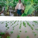 వానల్‌పాడ్‌లో ఘనంగా చాకలి ఐలమ్మ జయంతి వేడుకలు.