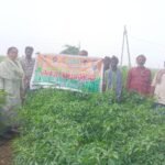 కడప జిల్లా. విద్యుత్ వైర్ దొంగల ముఠా అరెస్ట్: ASP విభూకృష్ణ