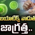 బయో రిసోర్స్ సెంటర్ పాయింట్ పర్సన్స్‌కు శిక్షణ సుస్థిర జీవనోపాధి, సహజ వనరుల పరిరక్షణపై అవగాహన