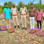 వరికుంటపాడులో డీఈఓ పర్యటన