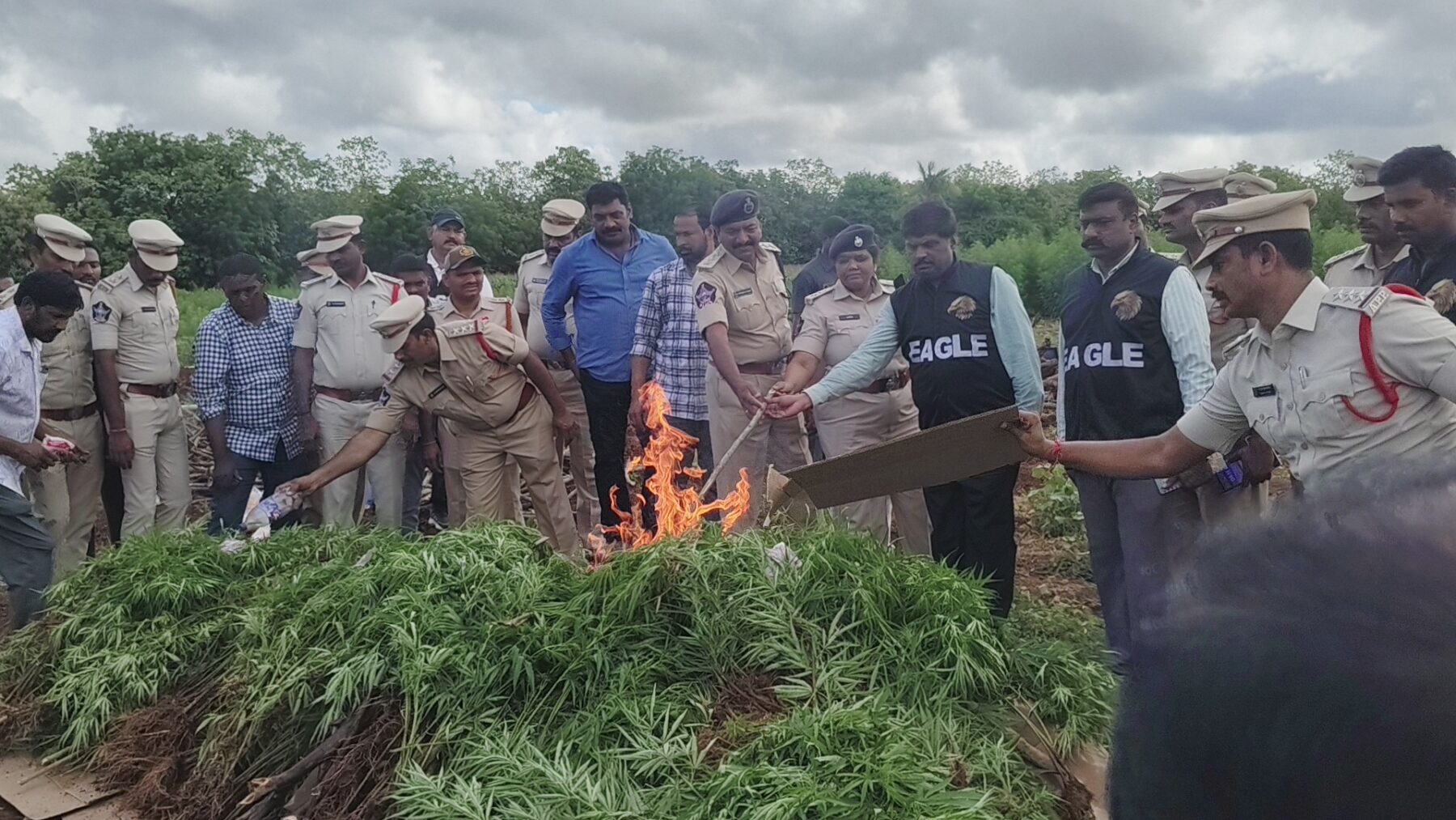 దుత్తలూరు గంజాయి సాగు కేసులో కీలక విషయాలు