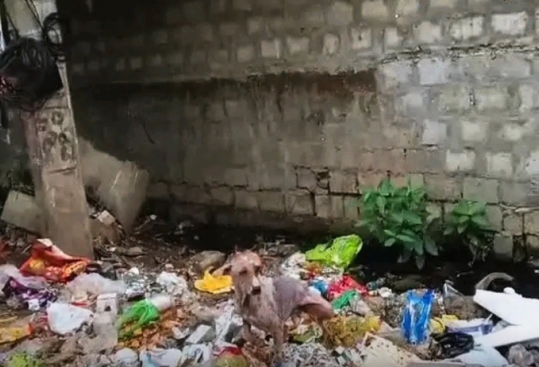 ధవళేశ్వరం, బొమ్మూరులో దుర్గంధం