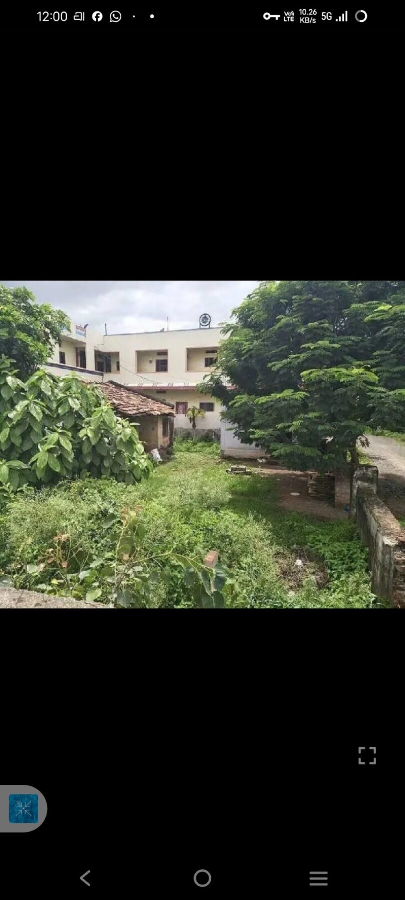 అసిఫాబాద్ జిల్లాలో పశు వైద్య శాఖలో సిబ్బంది కొరత