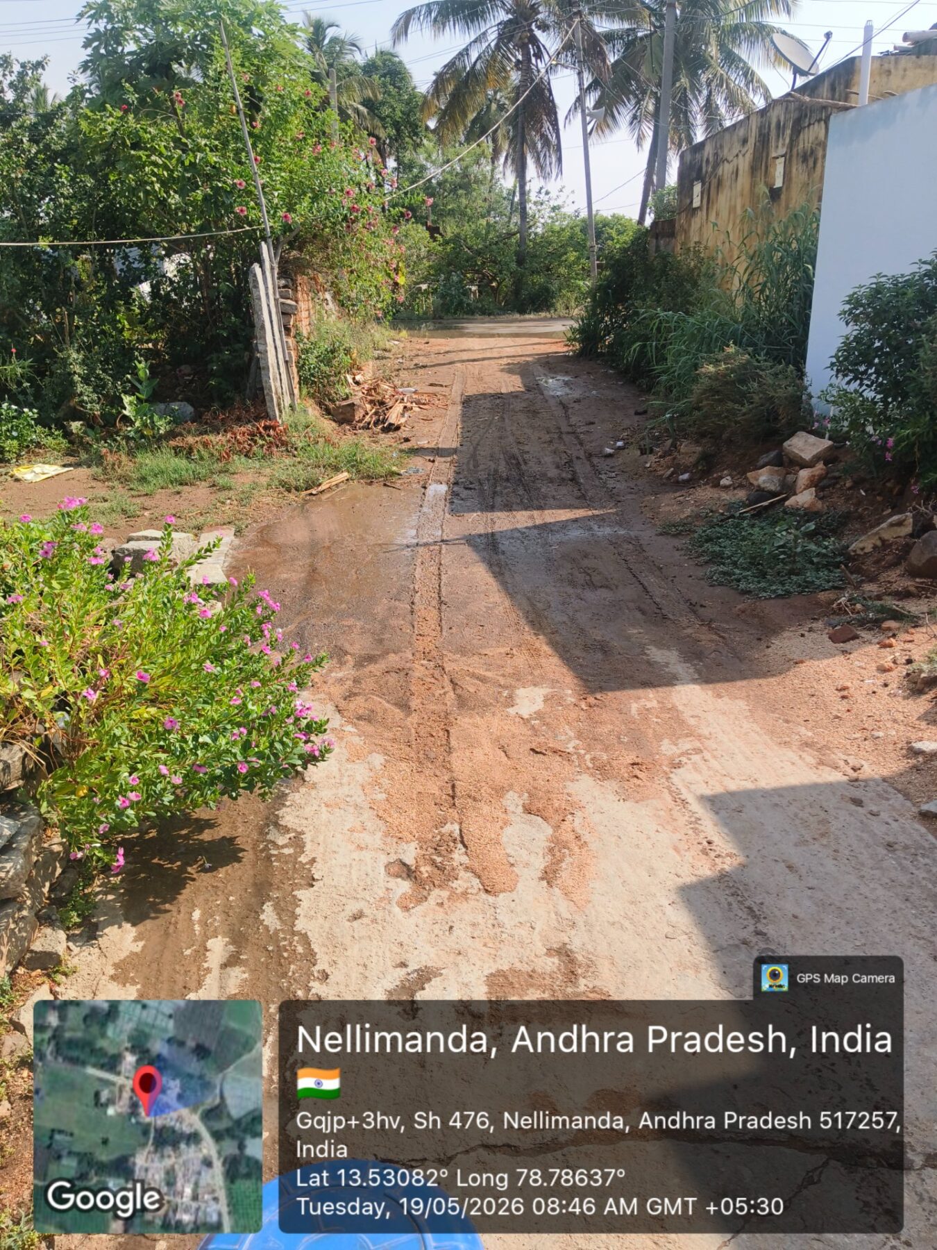 నెల్లిమందలో అస్తవ్యస్తంగా పారిశుధ్యం: రోడ్ల పక్కనే ముళ్లకంచెలు, పిచ్చిమొక్కలు