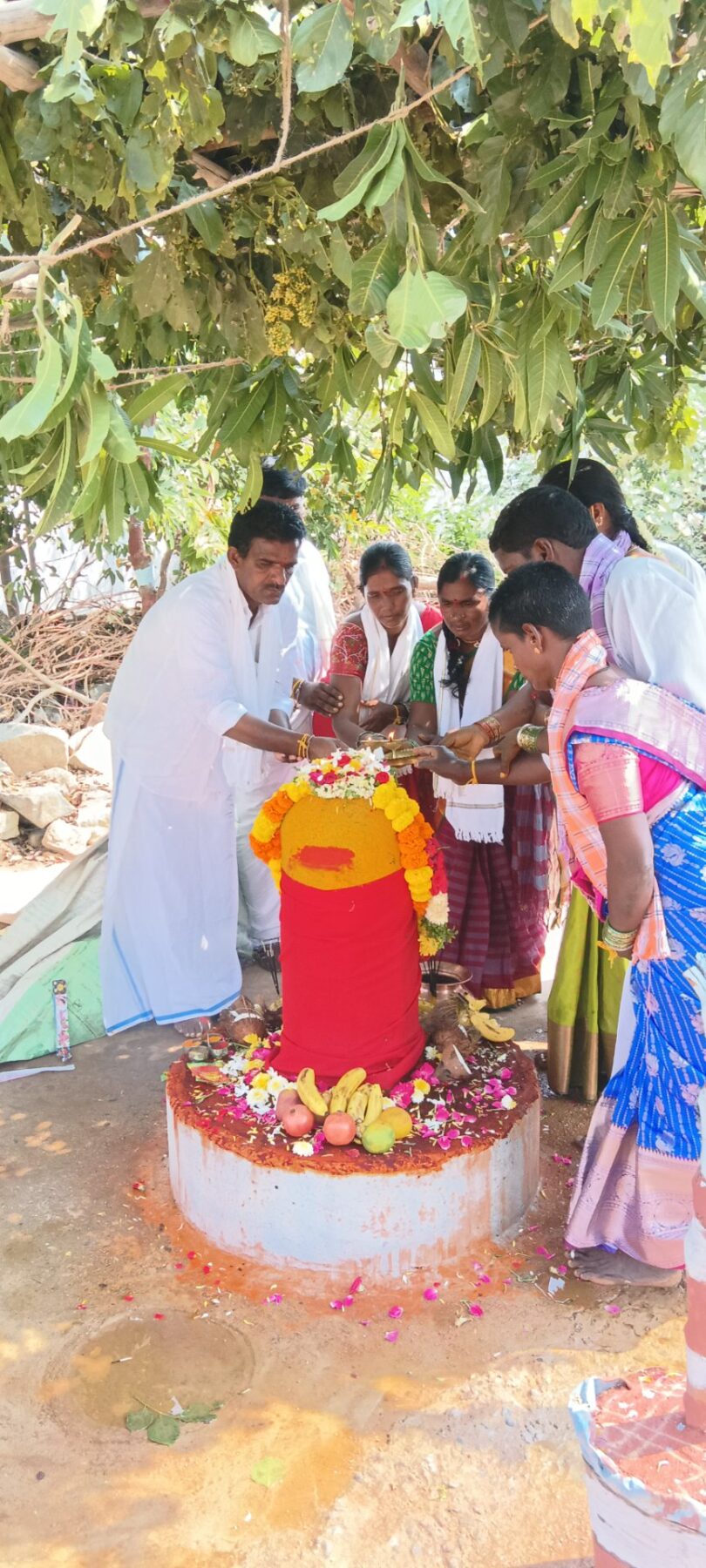 మంగనూరులో శాస్త్రోక్తంగా హోమ క్రతువు.. పూజల్లో పాల్గొన్న సర్పంచ్