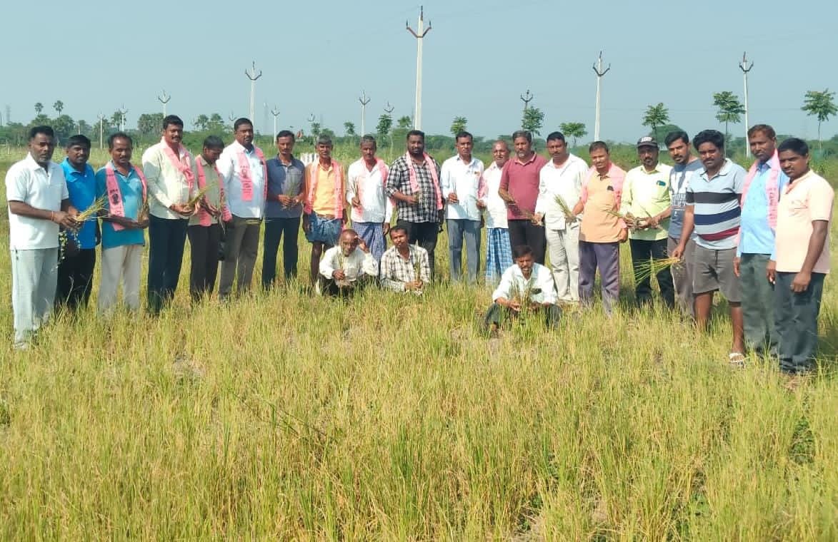 పంట నష్టపోయిన రైతులకు ఎకరాకు యాభై వేలు నష్టపరిహారం చెల్లించాలి…బి.ఆర్.ఎస్ పార్టీ డిమాండ్