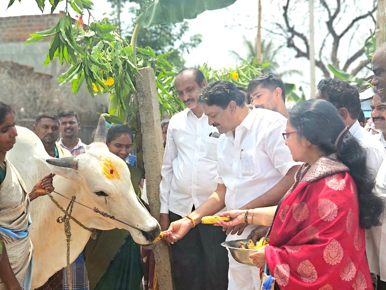 మైలవరం దేవుని చెరువులో 35 మంది పేదలకు ఇల్లు పట్టాలు మైలవరం ఎమ్మెల్యే వసంత కృష్ణ ప్రసాద్ సహకారంతో