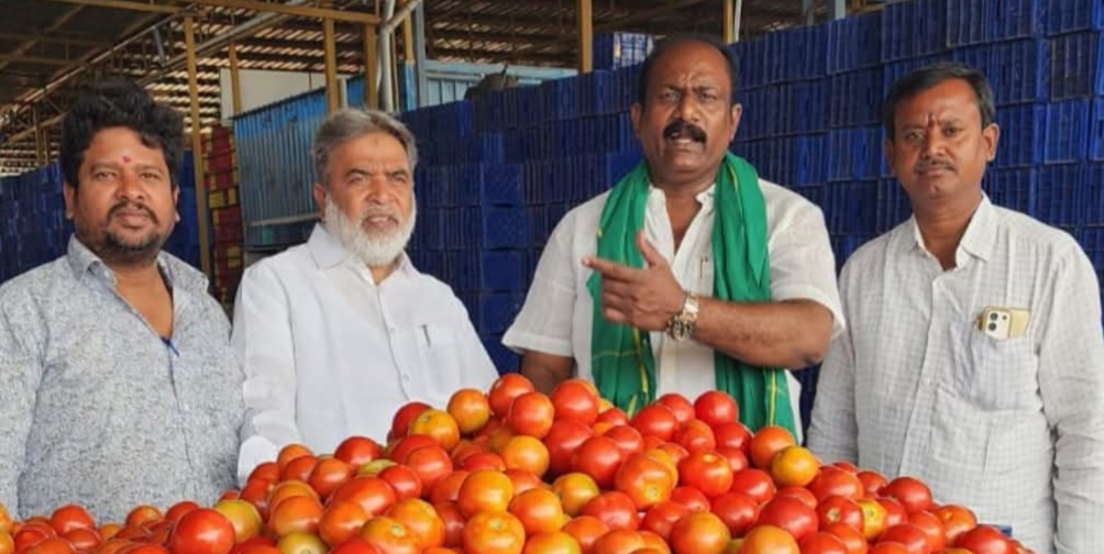 మదనపల్లె మార్కెట్‌లో టమోటా ధరలు ఇవే!
