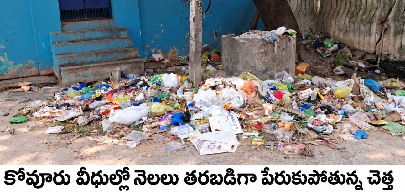 కోవూరులో దిగజారుతున్న పారిశుధ్యం
