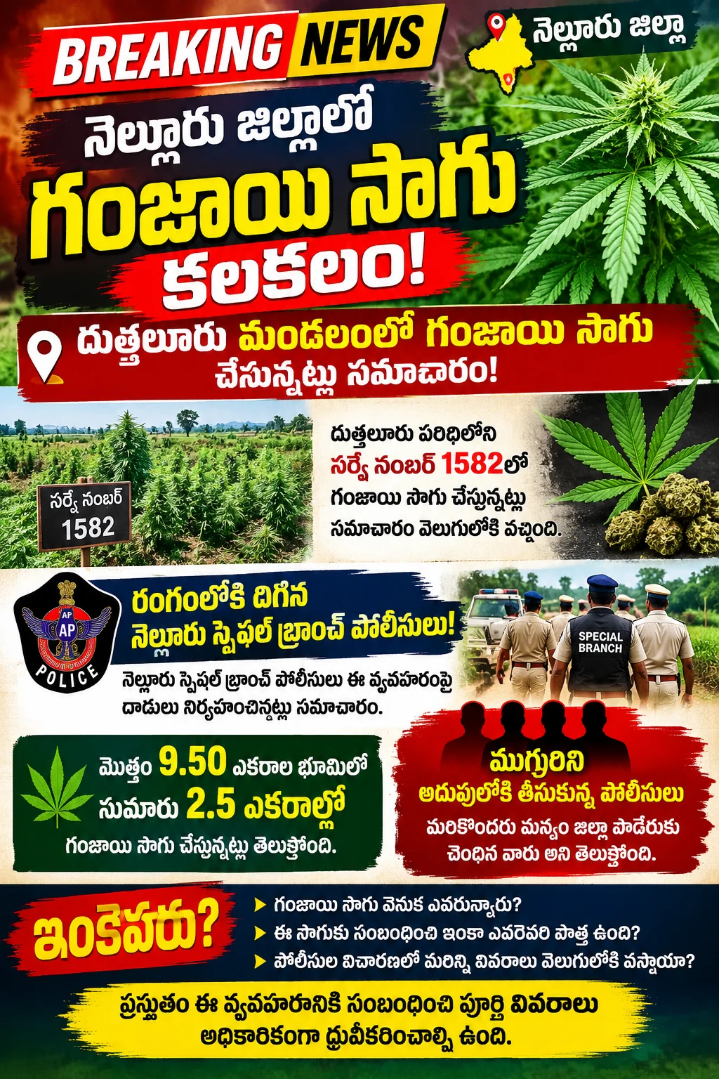 నెల్లూరు జిల్లాలో గంజాయి సాగు కలకలం!