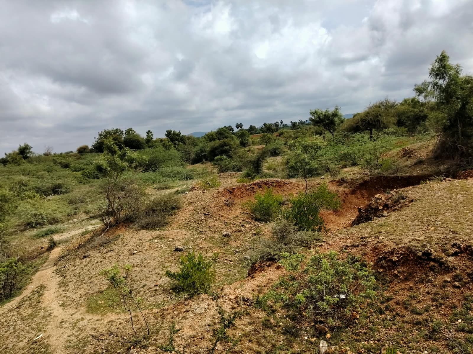 తురకపల్లి స్మశాన వాటికలో దయనీయ పరిస్థితులు